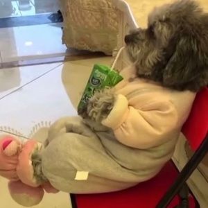 Meet your Posher, Layla